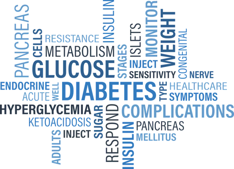 metabolism diet