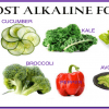 acid alkaline diet