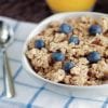 oatmeal diet