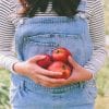 3 apples a day diet