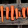 paleo diet carrots