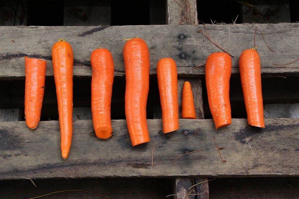 paleo diet carrots
