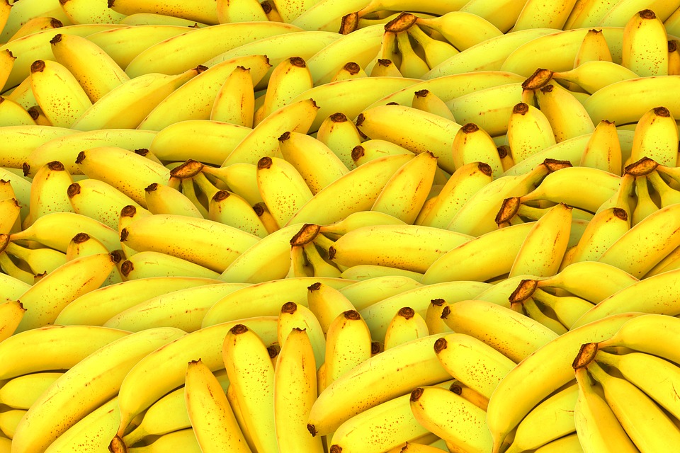 the morning banana diet